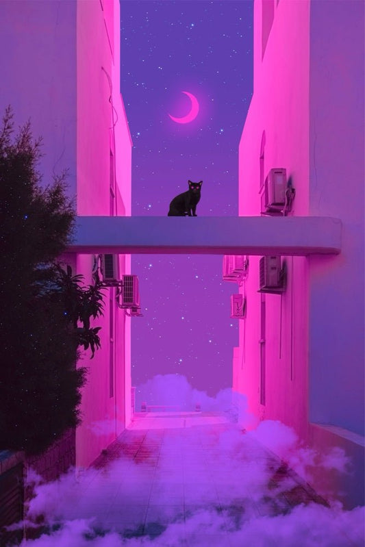 Magical Black Cat Plexi Glass Wall Art - Yagedan - V1Tech