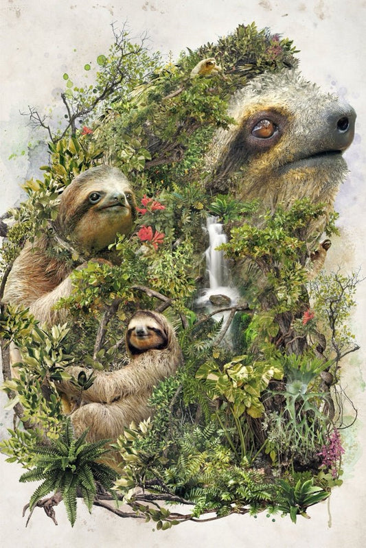 Sloth Rainforest Plexi Glass Wall Art - Barrett Biggers - V1Tech