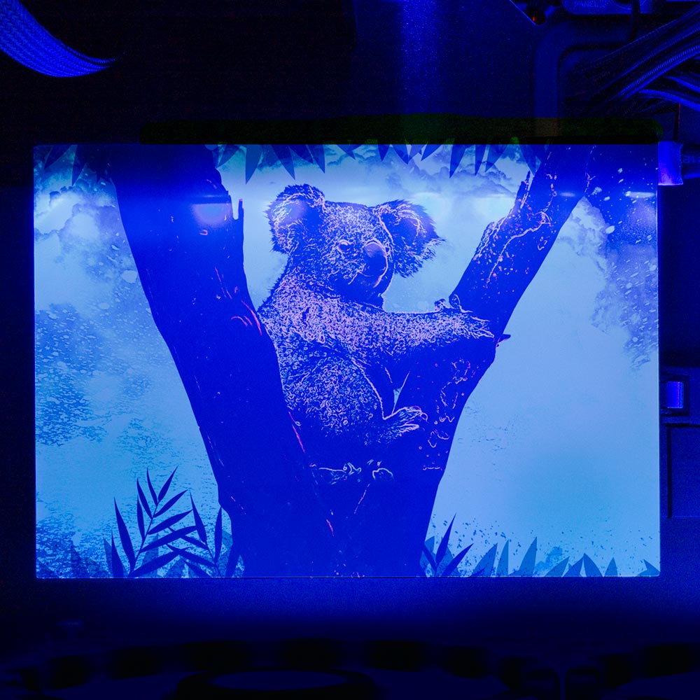 Soul of the Koala RGB HDD Cover Horizontal - Donnie Art - V1Tech