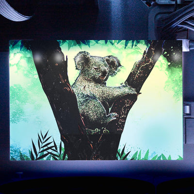 Soul of the Koala RGB HDD Cover Horizontal