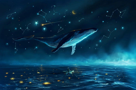 Star Whale Plexi Glass Wall Art - Shooting Star Log Book - V1Tech